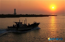 <희망을 연다>희망찬 2009년을 향하여