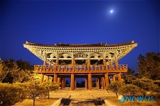 <관광공사 추천 1월의 가볼만한 곳> 월송정 야경