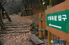 <관광공사 추천 1월의 가볼만한 곳> 수리산산림욕장