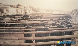 청계천변의 염색공장