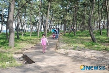 경포 솔향기 공원, 시민들에게 큰 호응얻어