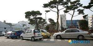 불법주차차량 도로 점령, 시민들 ‘통행불편’