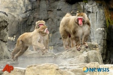 겨울엔 역시 온천이지