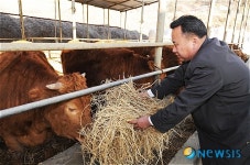 명품한우 정성으로 키웁니다.