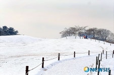 더욱 포근해보이는 몽촌토성 언덕들