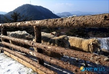 울타리 따라 걷기