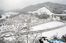 뿌리 찾고 민속놀이도 즐기고