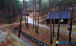  자연휴양과 산림욕을 즐길 수 있는 구수곡