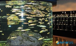 민물고기를 한 눈에 볼 수 있는 ‘민물고기생태체험관’