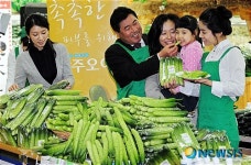 수분가득 아삭아삭 상주 백오이 맛보세요