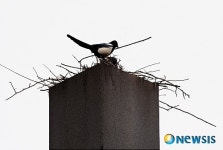 새집은 튼튼한 철골 구조