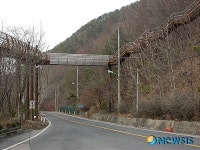 대전 만인산, 브리지형 숲 탄방로 개방