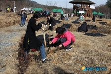 오월동산에 매화나무 심어요