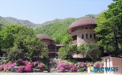 새봄에 떠나는 건강여행 고로쇠 한모금의 여유