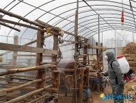 구제역과 AI 철저히 대비