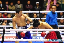 영광을 내 손안에