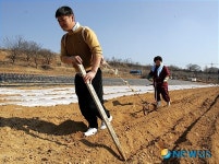 노모와 밭 가는 젊은 농군