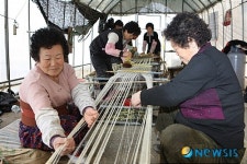 보성삼베 베메기 한창…윤달 앞두고 일손 분주