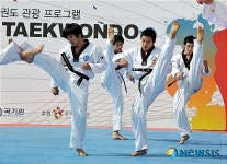 정통 태권도 시범