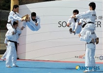 태권도 시범 정기 문화공연