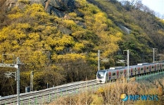 봄이 오는 응봉산