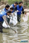 물의 날 맞아 원천천 청소하는 삼성전자 직원들