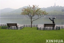 CHIPP 자연환경 스토리 금상 호숫가 나무