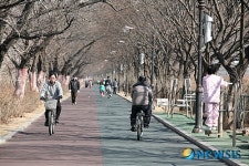 4월의 가볼만한 곳-서울 장한평 자전거도로