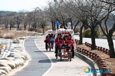 4월의 가볼만한 곳-강원 강릉 경포호수 다인승 자전거