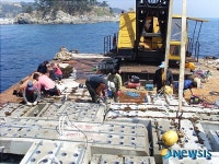 포항시 남구 장기면 신창2리 바다숲조성사업 대상지로 선정