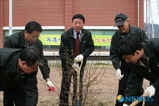 대전도시철도공사, 푸른 대전가꾸기 식목행사