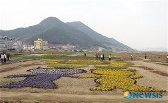 창원 북면 튤립 꽃동산 조성