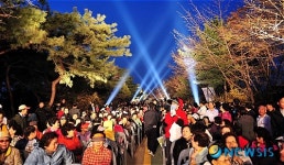 제2회 남산 벚꽃축제 점등식