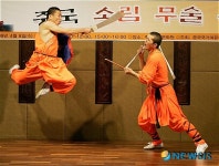 역동적인 소림 무술공연