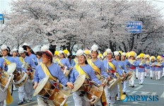 벚꽃과 함께 즐기는 축제