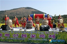 주록휴게소매점 | 제주 대록산에서 펼쳐진 봄의 향연
