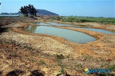 <제주올레12코스>가뭄에 목타는 신도연못