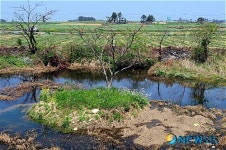 <제주올레12코스>늪같은 오묘한 느낌의 신도연못