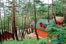 화순 백아산.화학산 산촌생태마을 선정