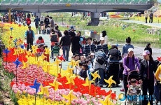 수원천 튤립축제