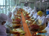 전남 고시레김치 욘사마 손잡고 일본서 한류돌풍
