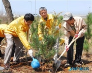 아시아나-ANA항공, 공동 식목행사