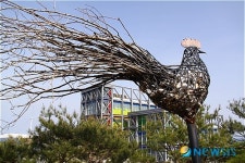 하슬라는 강릉의 옛 지명