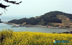 슬로시티 청산도 풍광