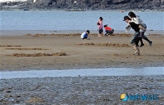 신나는 갯벌놀이