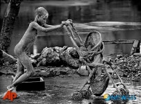 2009 퓰리처상 브레이킹뉴스상