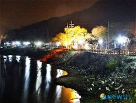 김제 금평저수지 수변문화체험숲 야경