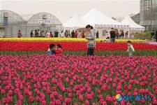 평택시, 오성면서 제2회 평택꽃 봄나들이 축제 개최