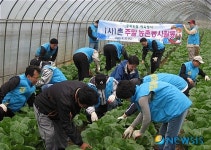 충북농협, 춘계체육행사 농촌일손돕기로 대체