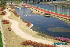 구리 왕숙천에 생태습지 조성